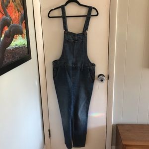 Old Navy Skinny Denim Overalls